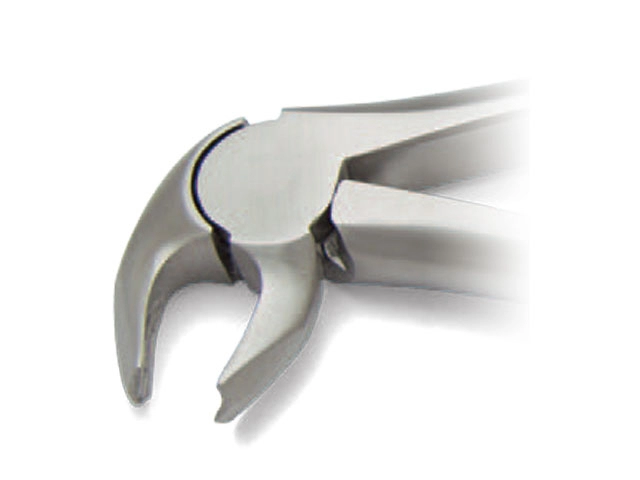 Klesta za extrakciju satin handle # 22 ZFS151